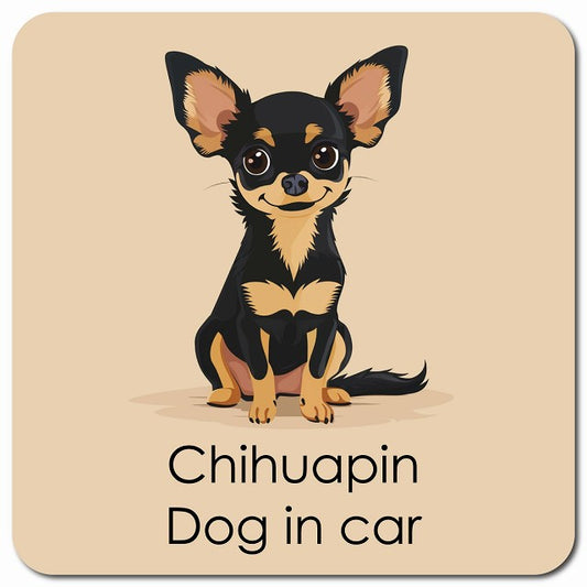 Chihuapin チワピン 車用 パステル くすみカラー スタイル アニメ風 マグネット 13x13cm 正方形 カーマグネット 表示プレート