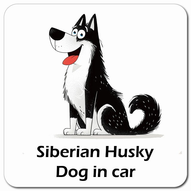 Siberian Husky シベリアンハスキー 車用 アメリカン カートゥーン スタイル アニメ風 マグネット 13x13cm 正方形 カーマグネット 表示プレート