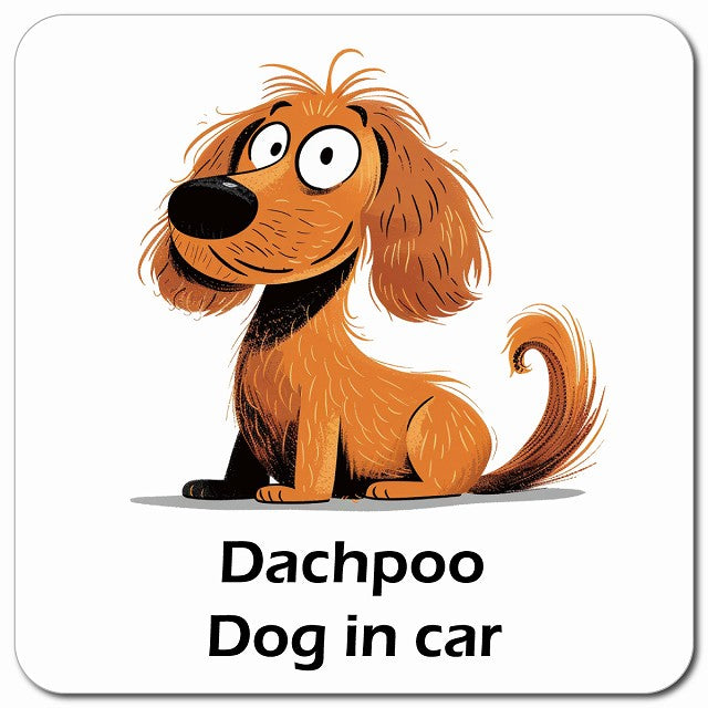 Dachpoo ダップー 車用 アメリカン カートゥーン スタイル アニメ風 マグネット 13x13cm 正方形 カーマグネット 表示プレート
