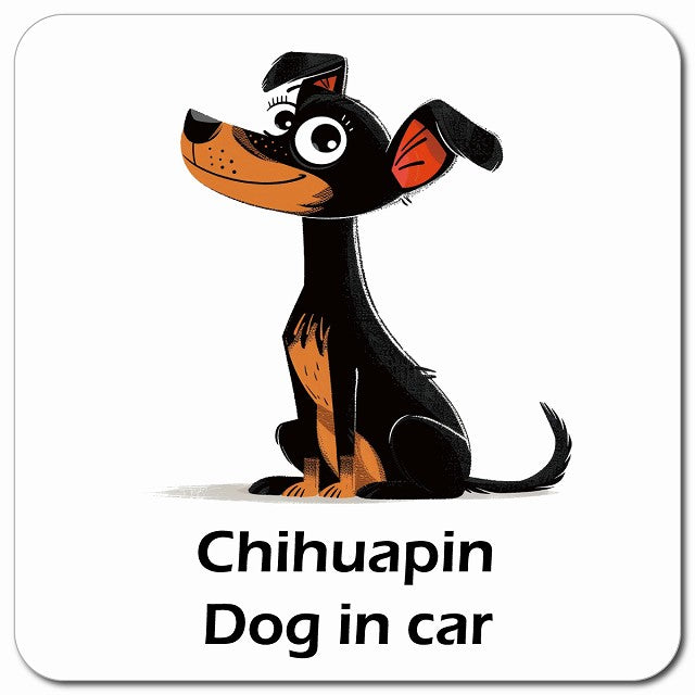 Chihuapin チワピン 車用 アメリカン カートゥーン スタイル アニメ風 マグネット 13x13cm 正方形 カーマグネット 表示プレート