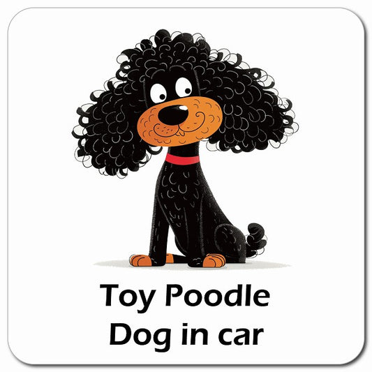 Toy Poodle トイプードル 車用 アメリカン カートゥーン スタイル アニメ風 マグネット 13x13cm 正方形 カーマグネット 表示プレート