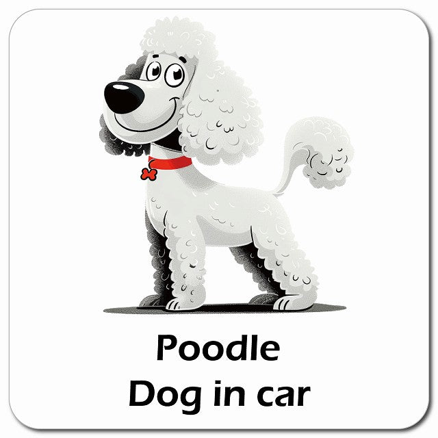 Poodle プードル 車用 アメリカン カートゥーン スタイル アニメ風 マグネット 13x13cm 正方形 カーマグネット 表示プレート