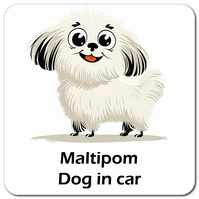 Maltipom ポメマル 車用 アメリカン カートゥーン スタイル アニメ風 マグネット 13x13cm 正方形