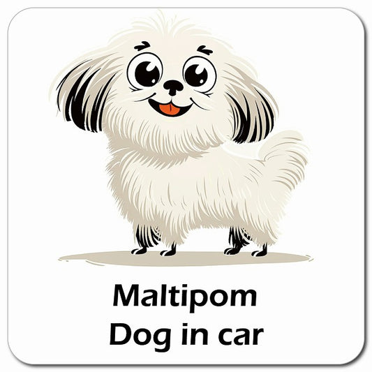 Maltipom ポメマル 車用 アメリカン カートゥーン スタイル アニメ風 マグネット 13x13cm 正方形