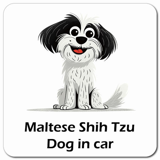 Maltese Shih Tzu マルシーズー 車用 アメリカン カートゥーン スタイル アニメ風 マグネット 13x13cm 正方形
