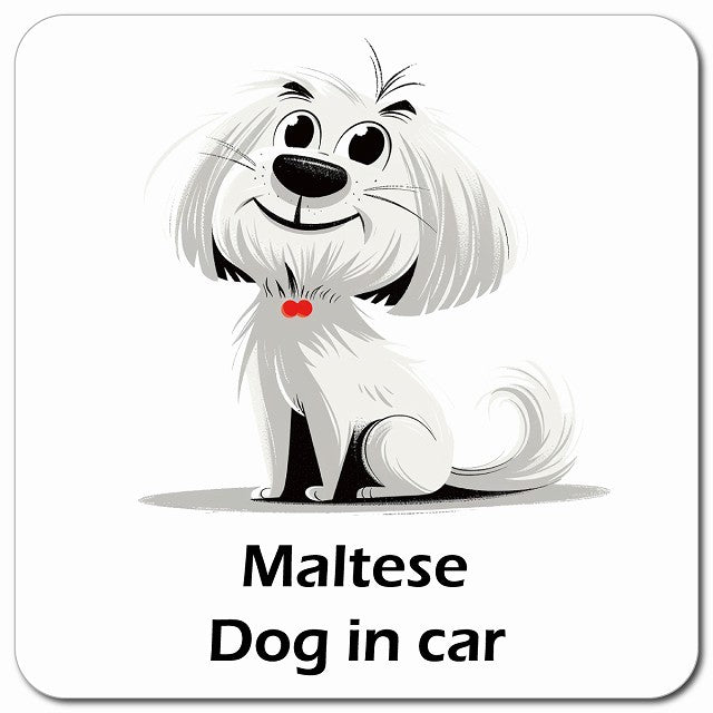Maltese マルチーズ 車用 アメリカン カートゥーン スタイル アニメ風 マグネット 13x13cm 正方形 カーマグネット 表示プレート