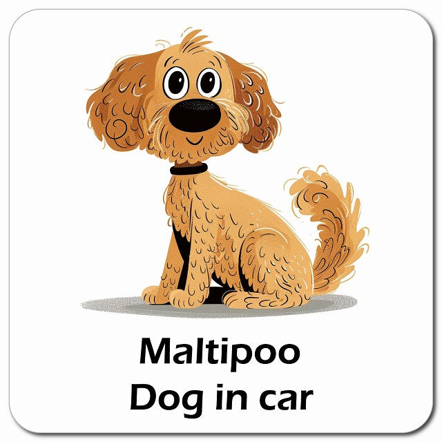 Maltipoo マルプー 車用 アメリカン カートゥーン スタイル アニメ風 マグネット 13x13cm 正方形