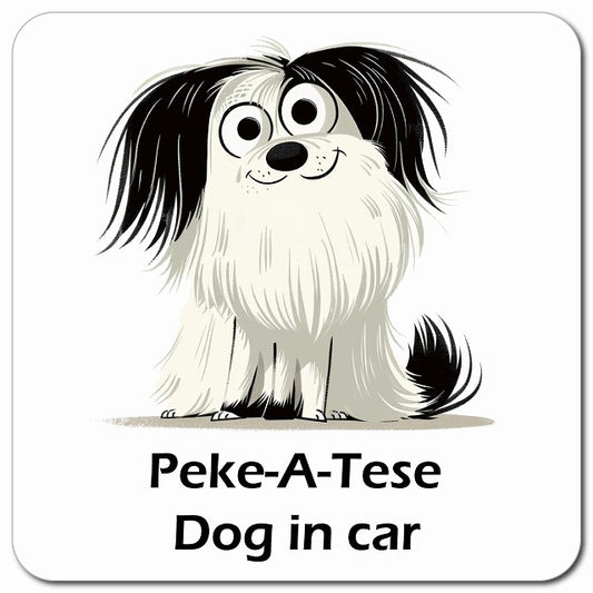 Peke-A-Tese マルペキ 車用 アメリカン カートゥーン スタイル アニメ風 マグネット 13x13cm 正方形