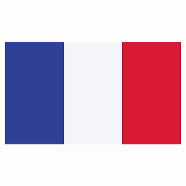 270x155mm フランス France 国旗 ステッカー