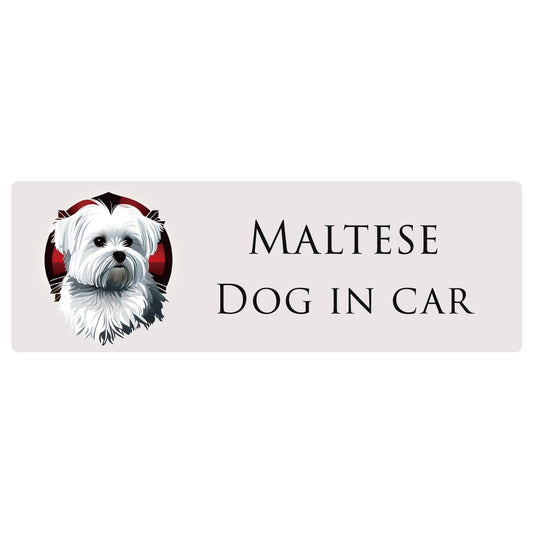 イラスト付 Dog in Car マルチーズ Bタイプ ステッカー 長方形 シール カーステッカー