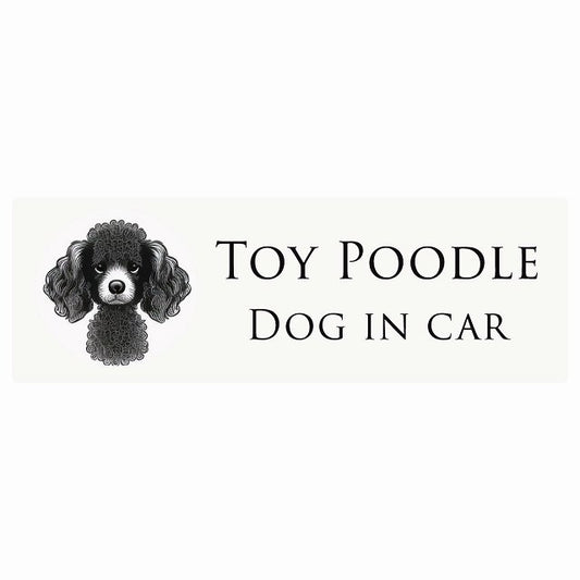 イラスト付 Dog in Car トイプードル Aタイプ ステッカー 長方形 シール カーステッカー