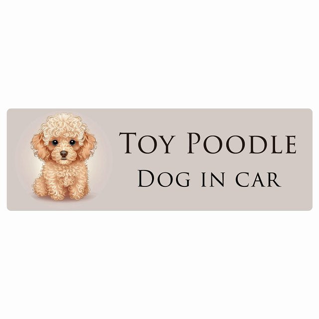 イラスト付 Dog in Car トイプードル B タイプ ステッカー 長方形 シール カーステッカー