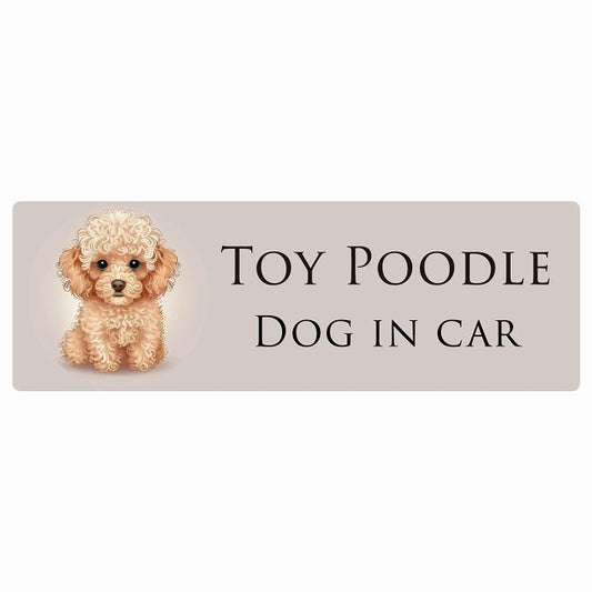 イラスト付 Dog in Car トイプードル B タイプ ステッカー 長方形 シール カーステッカー