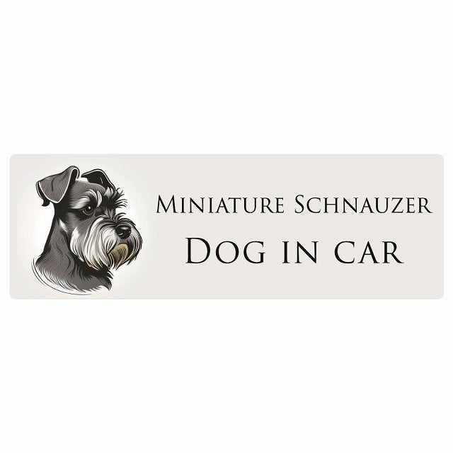 イラスト付 Dog in Car ミニチュアシュナウザー B タイプ ステッカー 長方形 シール カーステッカー