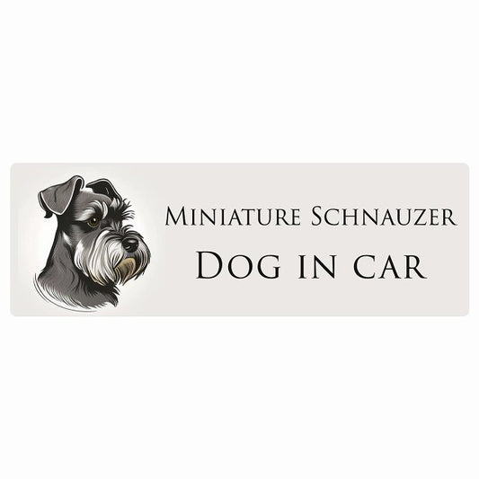 イラスト付 Dog in Car ミニチュアシュナウザー B タイプ ステッカー 長方形 シール カーステッカー