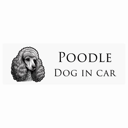 イラスト付 Dog in Car プードル B タイプ ステッカー 長方形 シール カーステッカー
