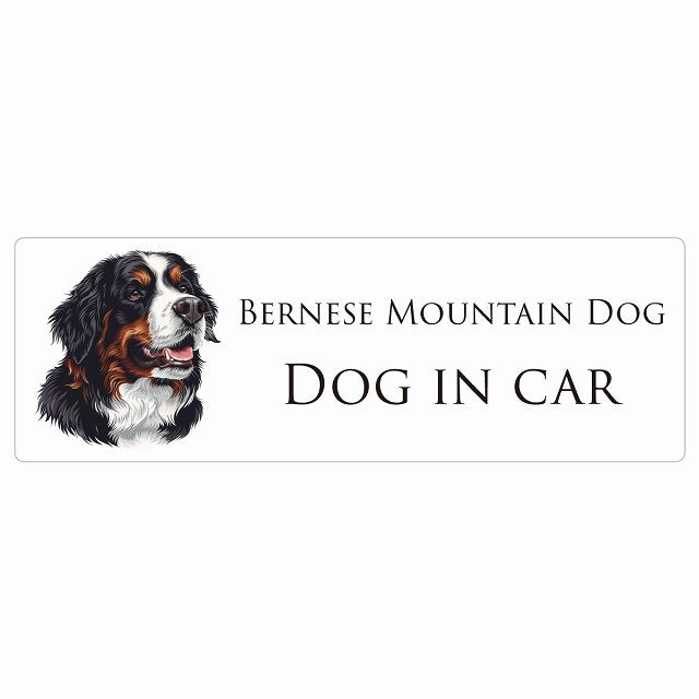 イラスト付 Dog in Car バーニーズ・マウンテン・ドッグ B タイプ ステッカー 長方形 シール カーステッカー