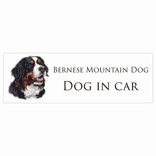 イラスト付 Dog in Car バーニーズ・マウンテン・ドッグ B タイプ ステッカー 長方形 シール カーステッカー