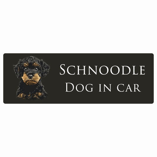 イラスト付 Dog in Car シュナプー Bタイプ ステッカー 長方形 シール カーステッカー