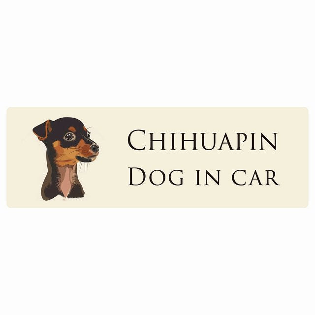 イラスト付 Dog in Car チワピン Aタイプ ステッカー 長方形 シール カーステッカー