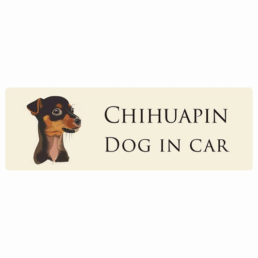 イラスト付 Dog in Car チワピン Aタイプ ステッカー 長方形 シール カーステッカー