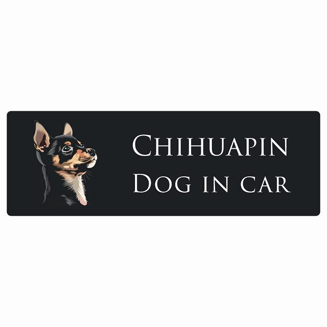 イラスト付 Dog in Car チワピン Bタイプ ステッカー 長方形 シール カーステッカー