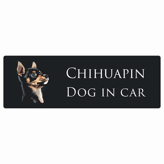 イラスト付 Dog in Car チワピン Bタイプ ステッカー 長方形 シール カーステッカー