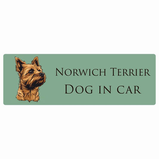 イラスト付 Dog in Car ノーリッチテリア Bタイプ ステッカー 長方形 シール カーステッカー