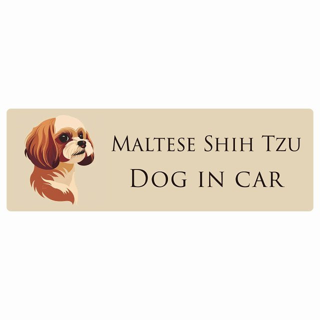 イラスト付 Dog in Car マルシーズー Aタイプ ステッカー 長方形 シール カーステッカー