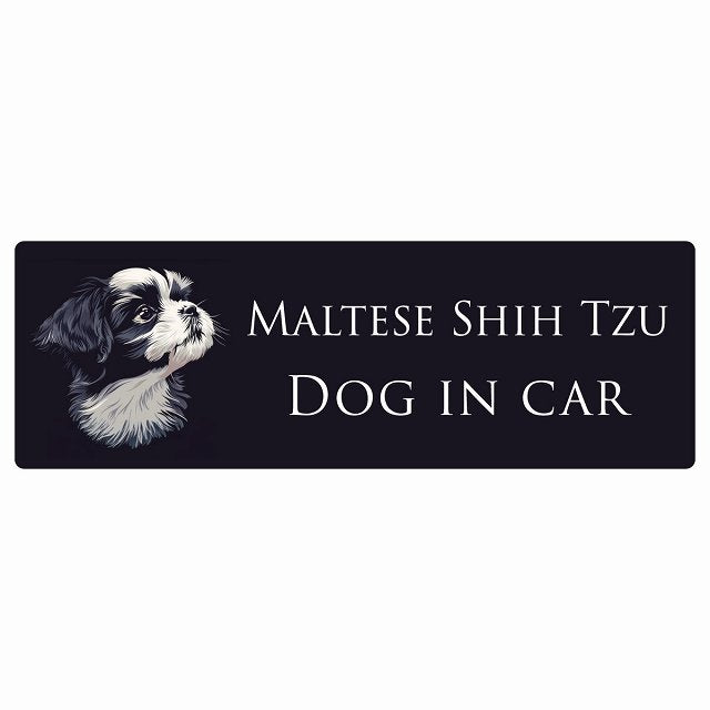 イラスト付 Dog in Car マルシーズー Bタイプ ステッカー 長方形 シール カーステッカー
