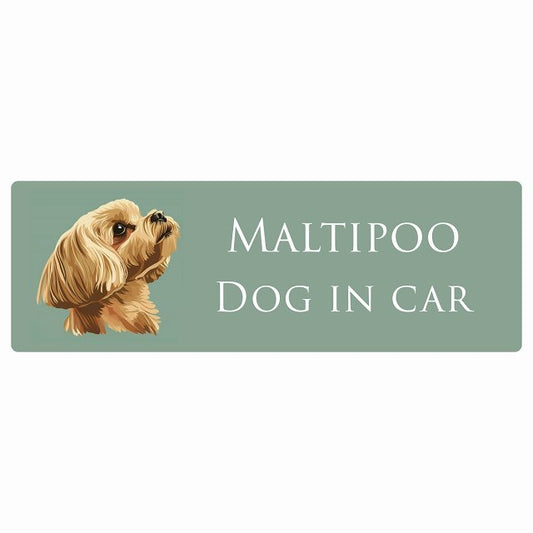 イラスト付 Dog in Car マルプー Aタイプ ステッカー 長方形 シール カーステッカー