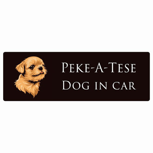 イラスト付 Dog in Car マルペキ Aタイプ ステッカー 長方形 シール カーステッカー
