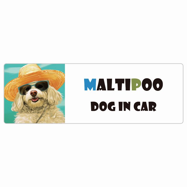 Maltipoo マルプー 犬 カーステッカー シール DOG IN CAR 海 麦わら帽子 サングラス 夏 長方形