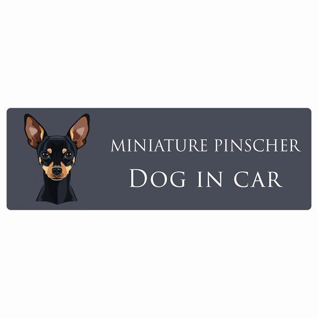 イラスト付 Dog in Car ミニチュアピンシャー Bタイプ ステッカー 長方形 シール カーステッカー