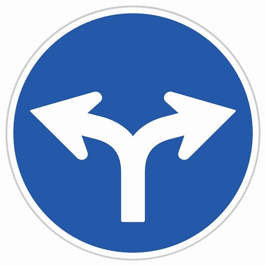 道路標識 指定方向外進行禁止 右折可と左折可 ステッカー