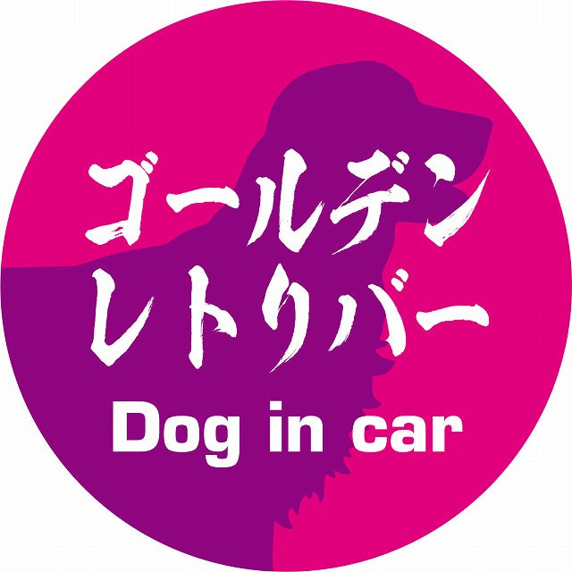 Dog in car ゴールデンレトリバー 毛筆書体 ピンクパープル ステッカー 直径10cm 丸型 シール カーステッカー