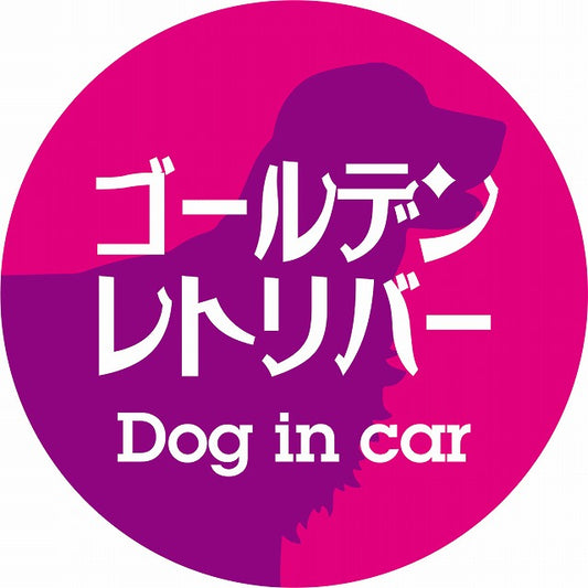 Dog in car ゴールデンレトリバー レトロ書体 ピンクパープル ステッカー 直径10cm 丸型 シール カーステッカー