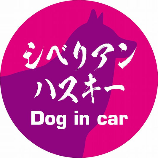 Dog in car シベリアンハスキー 毛筆書体 ピンクパープル ステッカー 直径10cm 丸型 シール カーステッカー