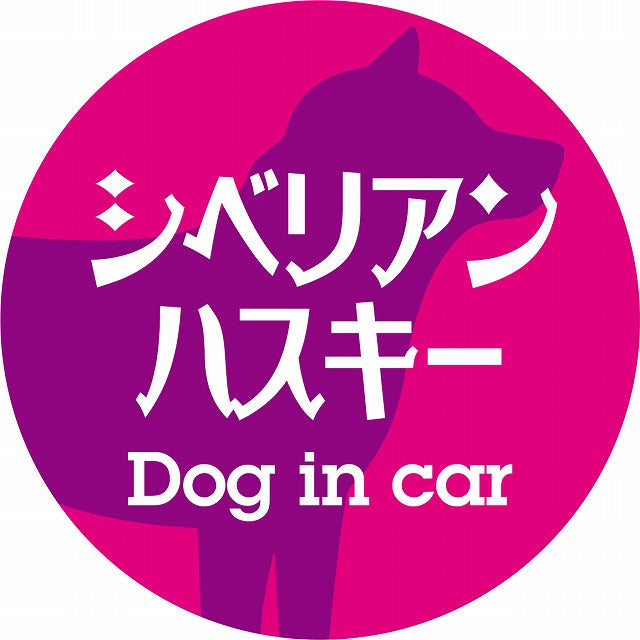 Dog in car シベリアンハスキー レトロ書体 ピンクパープル ステッカー 直径10cm 丸型 シール カーステッカー