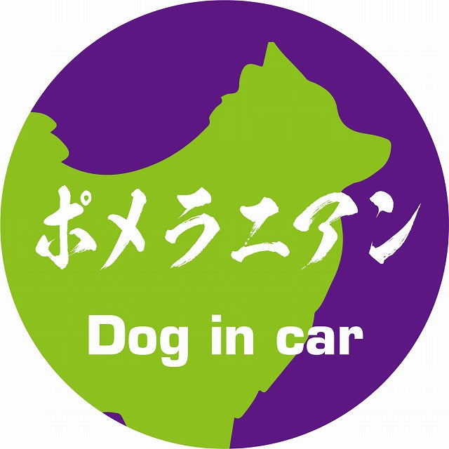 Dog in car ポメラニアン 毛筆書体 パープルグリーン ステッカー 直径10cm 丸型 シール カーステッカー
