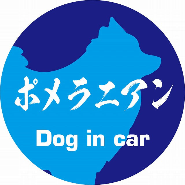 Dog in car ポメラニアン 毛筆書体 ブルー ステッカー 直径10cm 丸型 シール カーステッカー