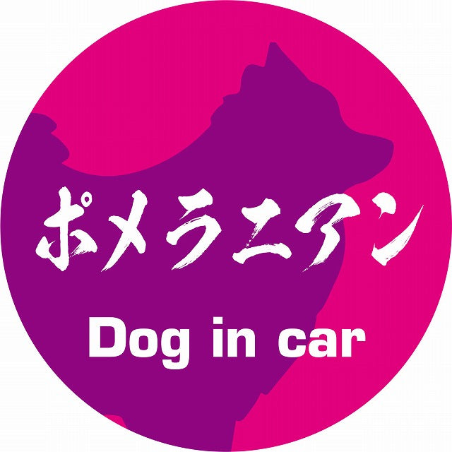 Dog in car ポメラニアン 毛筆書体 ピンクパープル ステッカー 直径10cm 丸型 シール カーステッカー