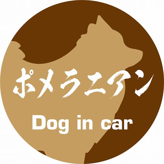 Dog in car ポメラニアン 毛筆書体 ブラウン ステッカー 直径10cm 丸型 シール カーステッカー