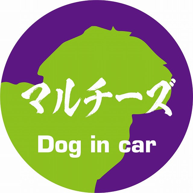 Dog in car マルチーズ 毛筆書体 パープルグリーン ステッカー 直径10cm 丸型 シール カーステッカー