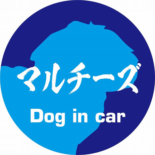 Dog in car マルチーズ 毛筆書体 ブルー ステッカー 直径10cm 丸型 シール カーステッカー
