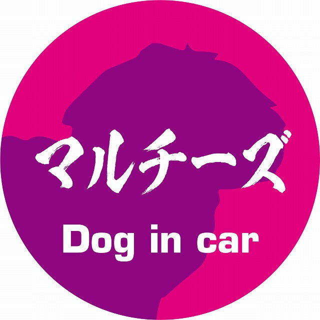 Dog in car マルチーズ 毛筆書体 ピンクパープル ステッカー 直径10cm 丸型 シール カーステッカー