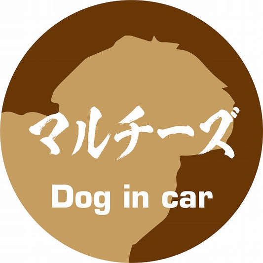 Dog in car マルチーズ 毛筆書体 ブラウン ステッカー 直径10cm 丸型 シール カーステッカー