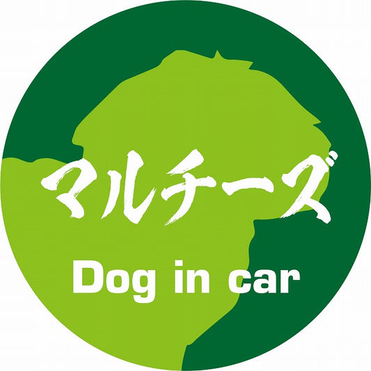 Dog in car マルチーズ 毛筆書体 グリーン ステッカー 直径10cm 丸型 シール カーステッカー