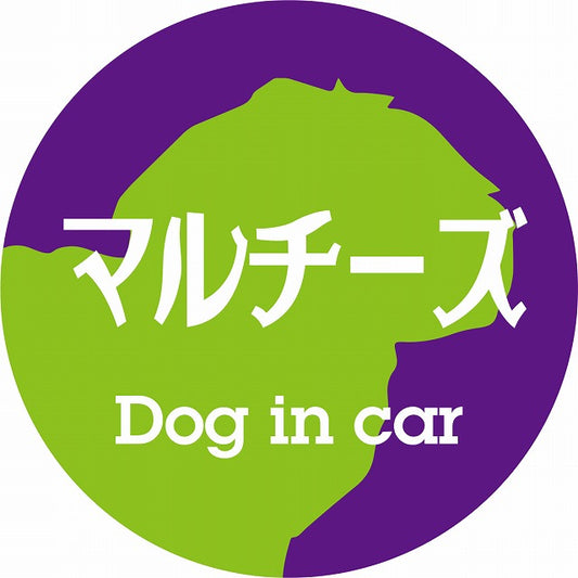 Dog in car マルチーズ レトロ書体 パープルグリーン ステッカー 直径10cm 丸型 シール カーステッカー