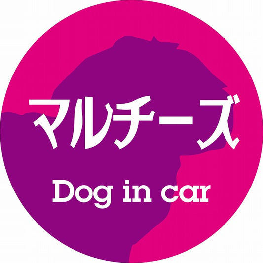 Dog in car マルチーズ レトロ書体 ピンクパープル ステッカー 直径10cm 丸型 シール カーステッカー